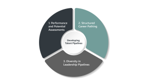 Visual of performance assessments, structured career paths, and leadership diversity in talent pipelines